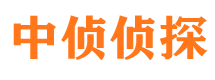 大洼侦探公司